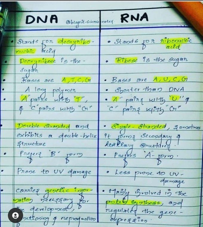 Difference between DNA & RNA
