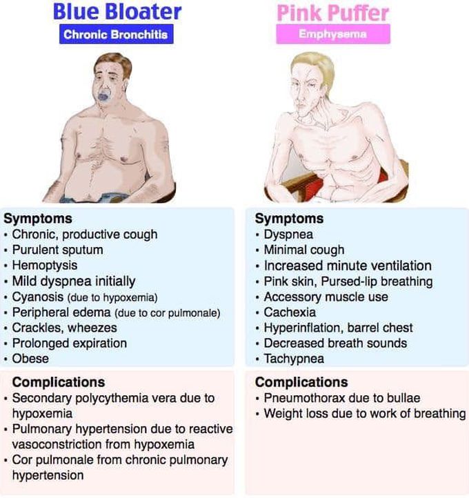 Chronic bronchitis vs emphysema