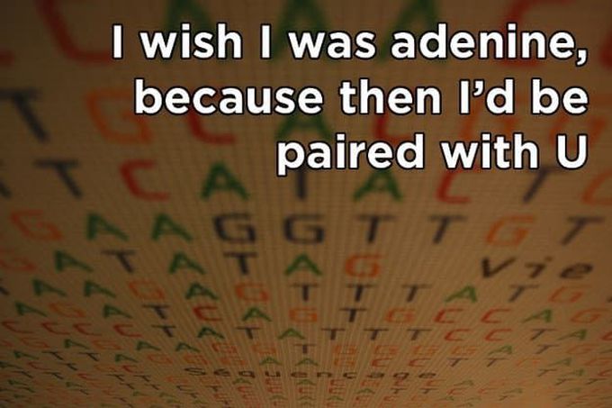 DNA