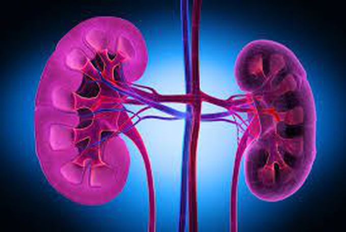 Causes of diabetic nephropathy