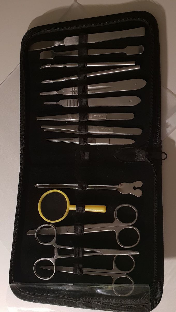Surgical instruments