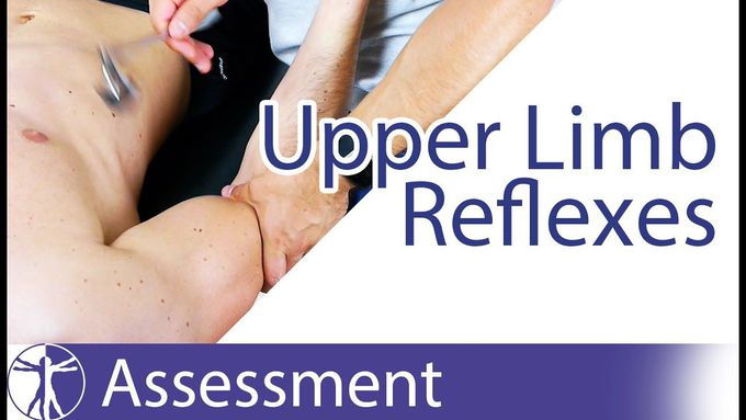 Upper Limb Deep Tendon Reflexes