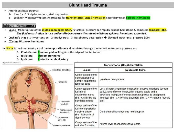 Blunt Head Trauma