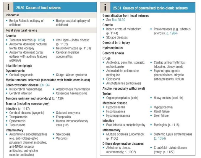 Seizures and Epilepsy IV