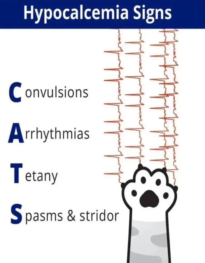 Hypocalcaemia Signs