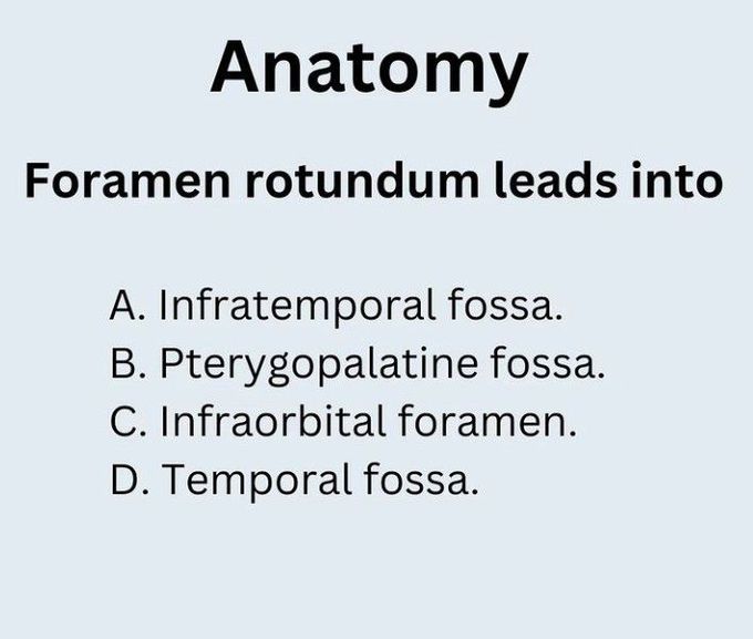 Foramen Rotundum