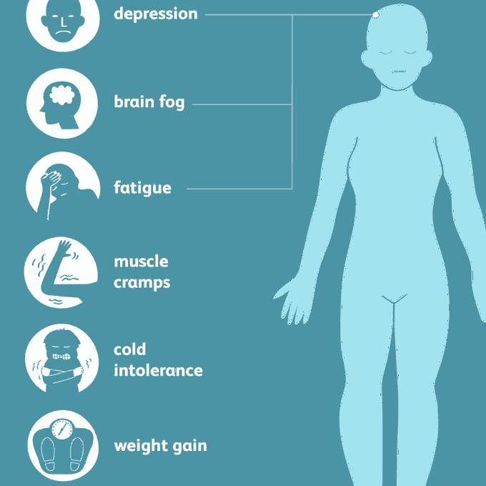 Signs and symptoms of hypothyroidism (underactive thyroid) - MEDizzy