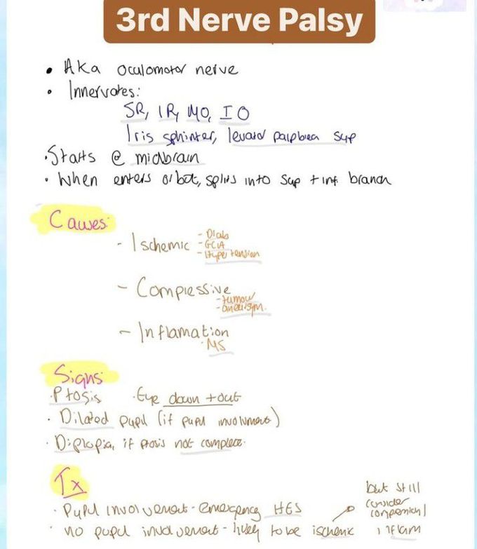 3rd nerve palsy