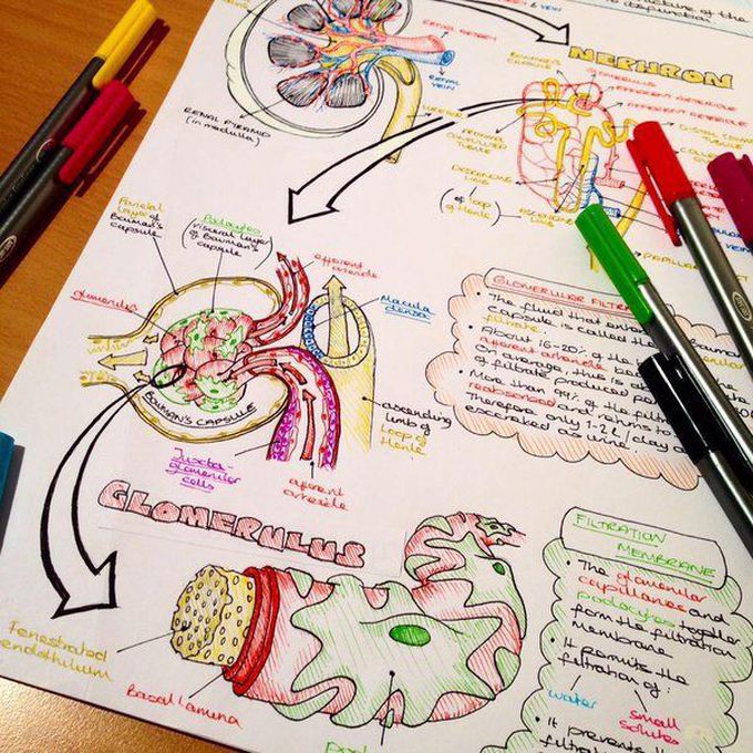 Studying 😭