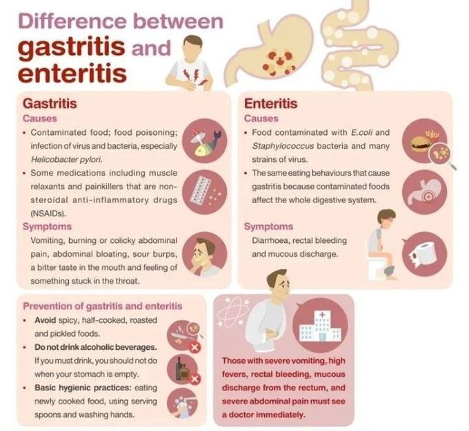 Gastritis vs enteritis
