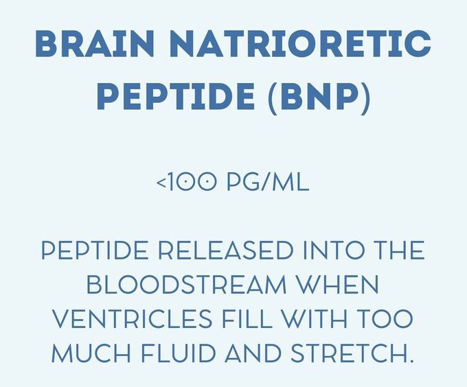 Brain Natriuretic Peptide