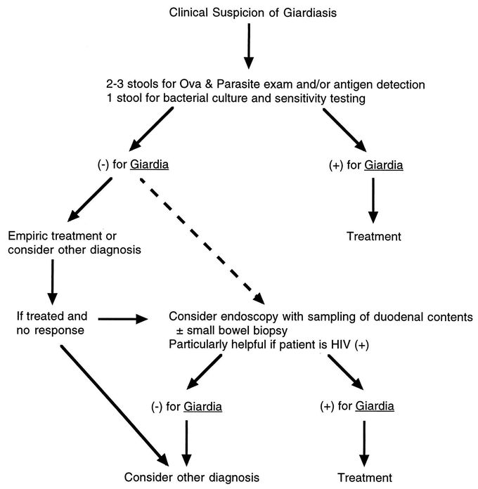 Treatment for Giardiasis