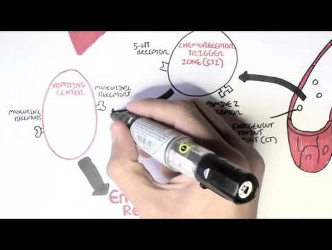 Physiology of Vomiting