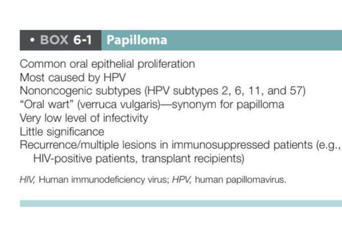 Papilloma