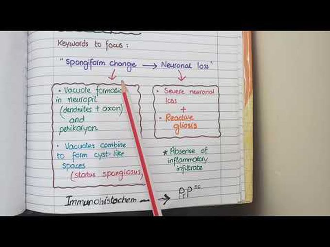 Prion Diseases: Morphology