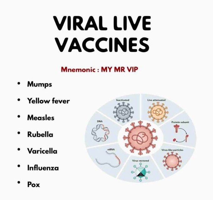 Viral live vaccines