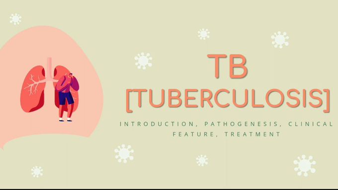 TB | Tuberculosis | Pathology | Introduction, pathogenesis, diagnosis, treatment