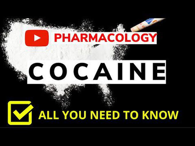 Cocaine Toxicology and Pharmacology