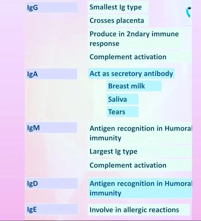 Human Antibodies