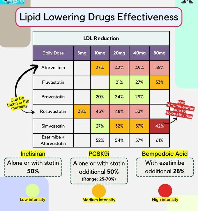 Lipid Lowering Drugs