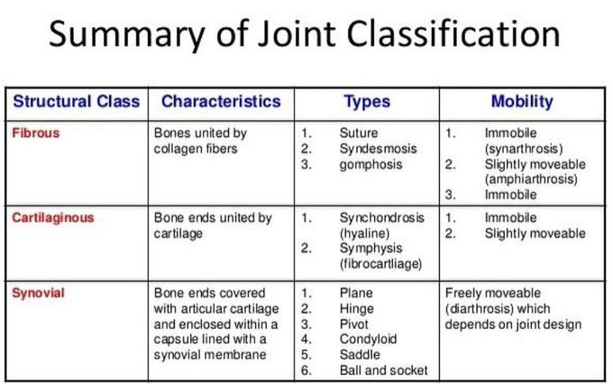 Joint Classification - Summary