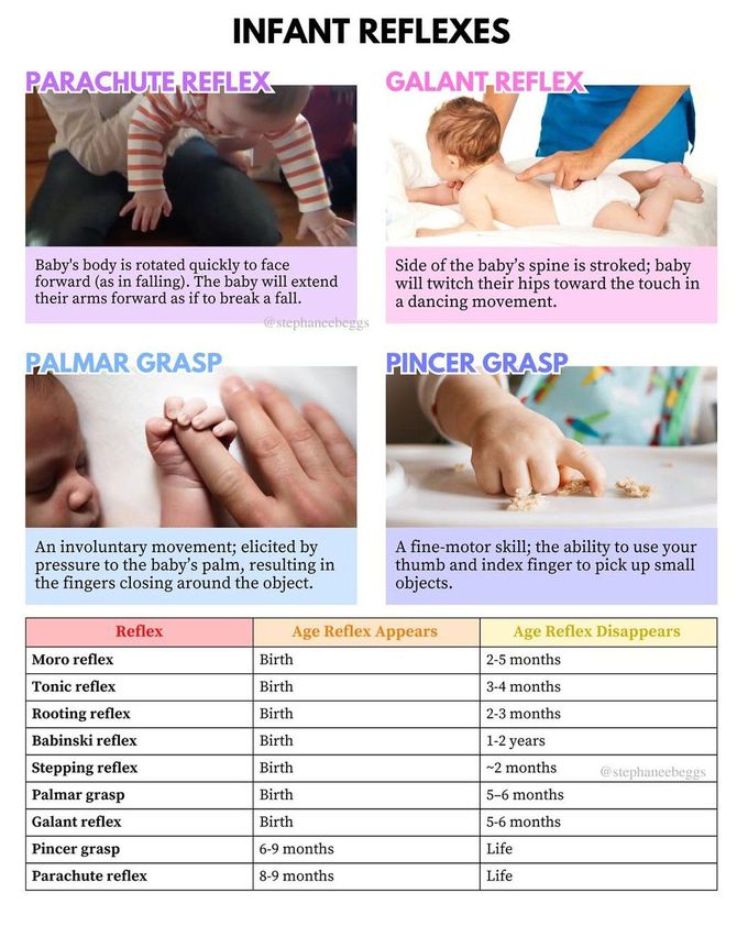 Infant Reflexes I