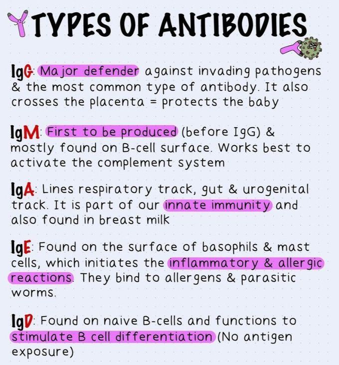 Types of Antibodies