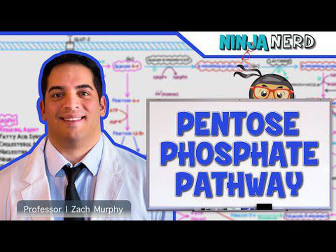 Pentose Phosphate Pathway (Detailed)