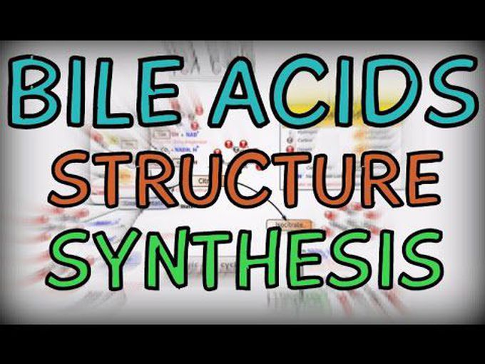 Overview of Bile acids