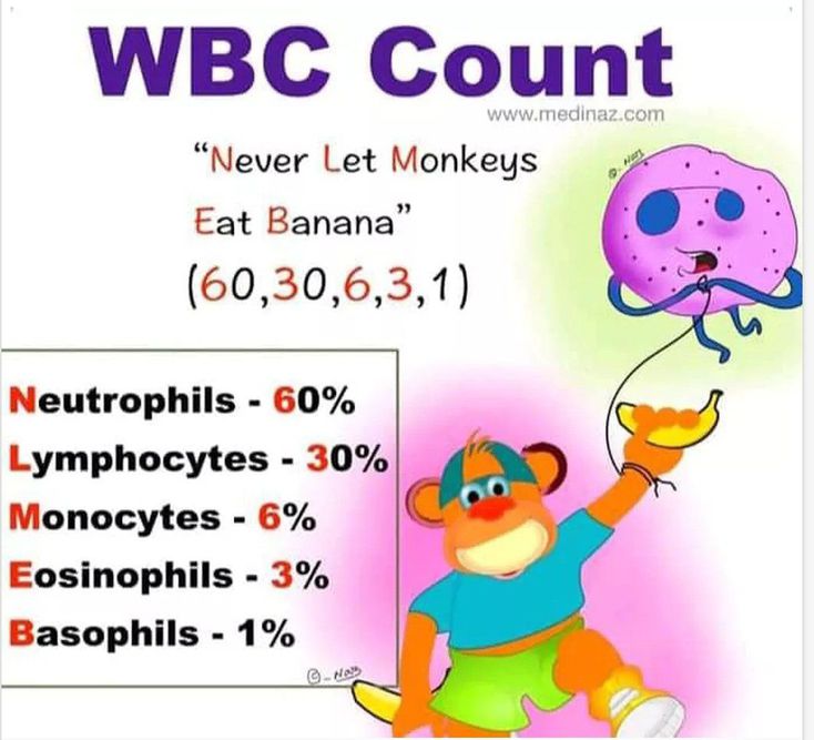 WBC BLOOD COUNT MEDizzy