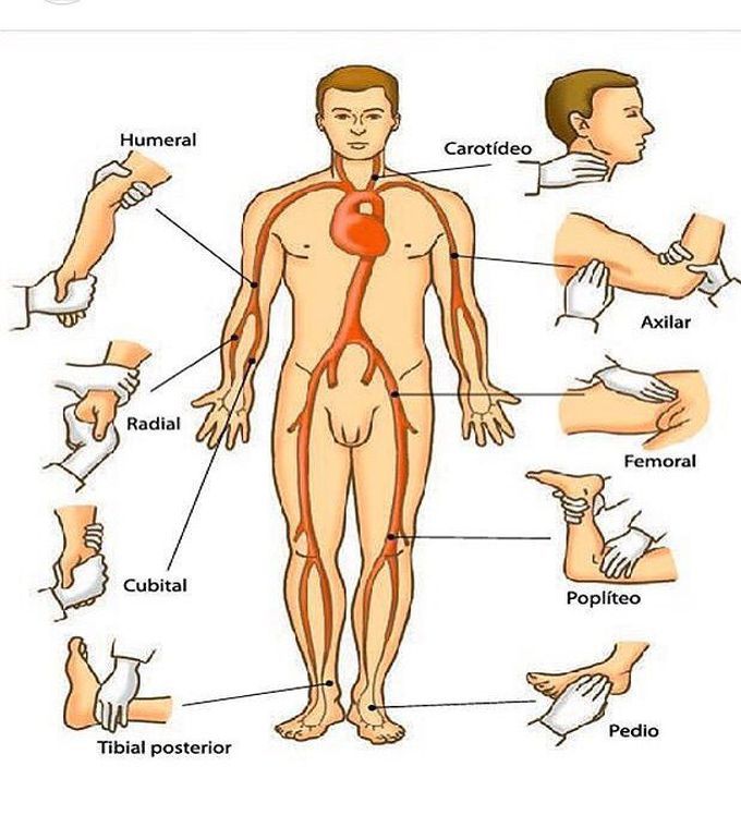 Vessels