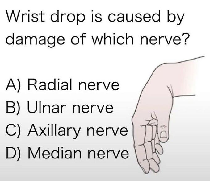 Identify the damaged nerve