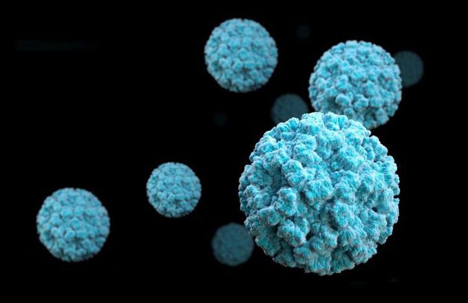 New study sheds light on norovirus outbreaks, may help efforts to develop a vaccine