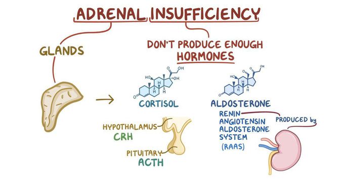 Adrenal insufficiency