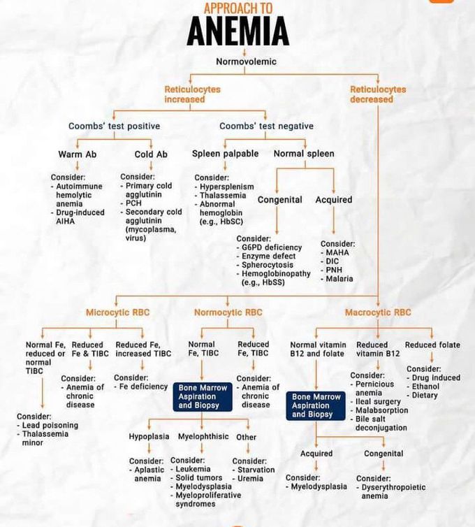 Approach to Anemia