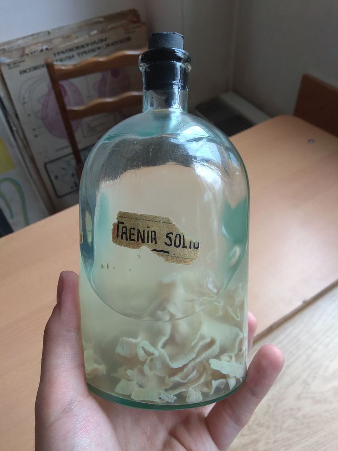 Taenia solium or......?