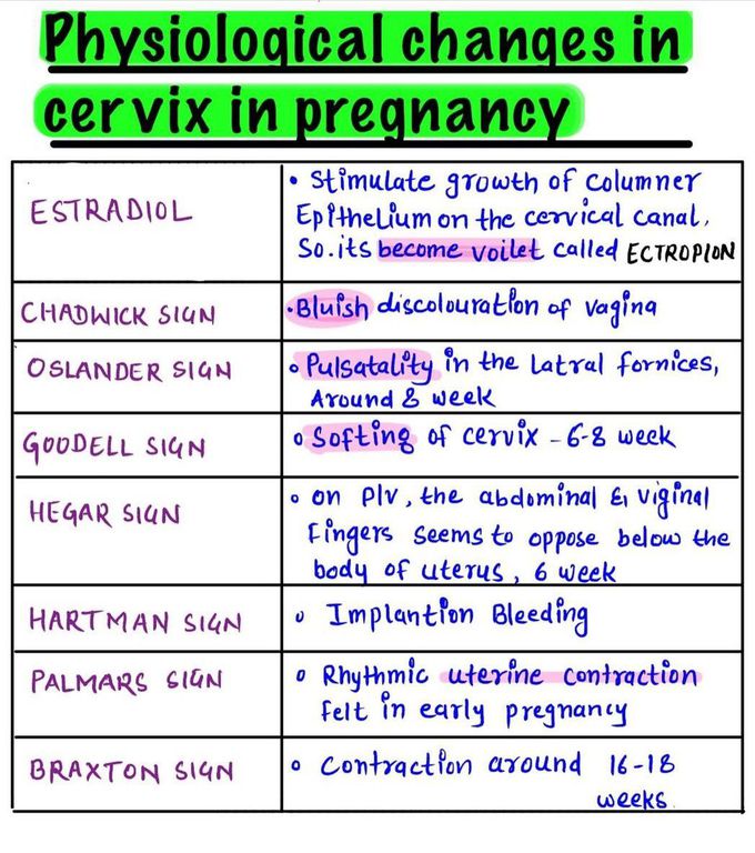 Cervix Changes