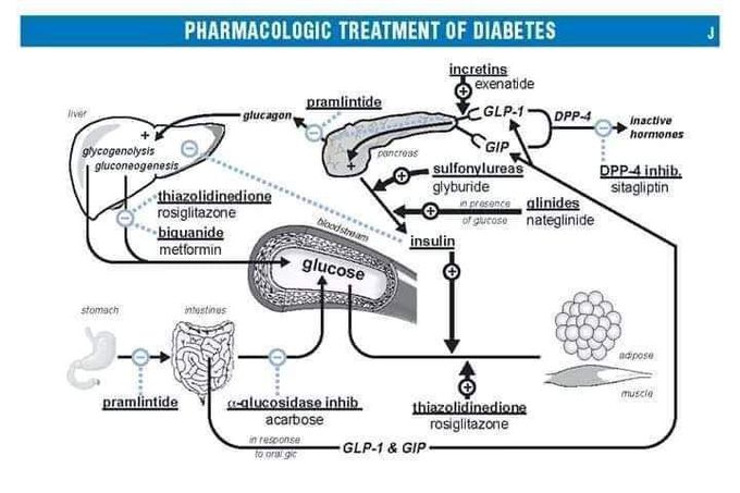 Pharmacology made easy