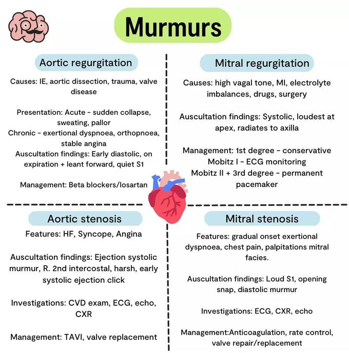 Murmurs