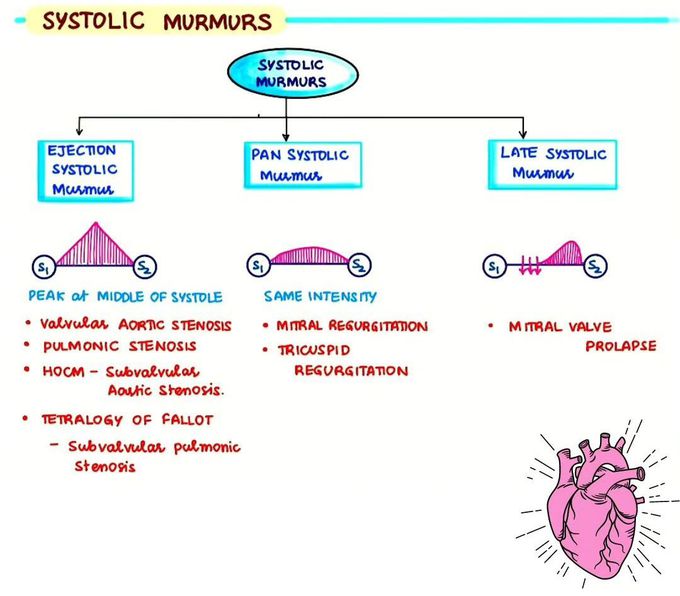 Systolic Murmur