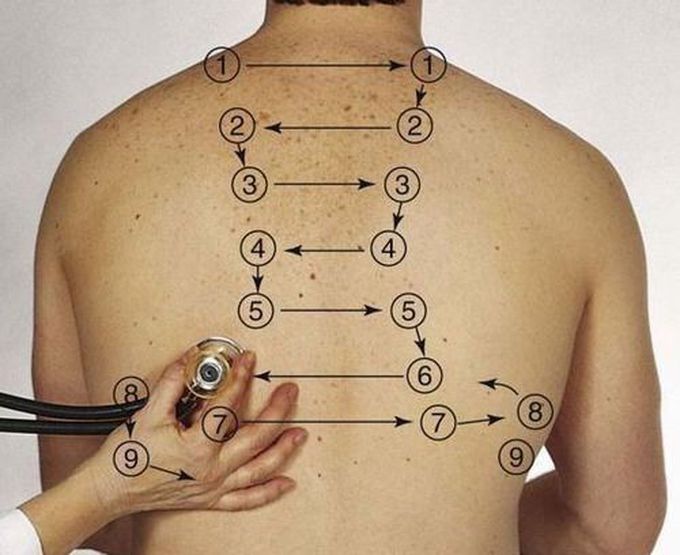 Lung Auscultation Point