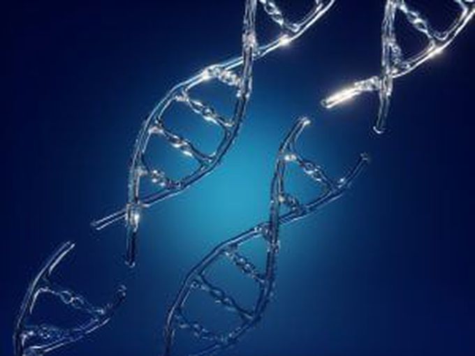 Pre-Existing Immunity to CRISPR Found in 96% of People in Study