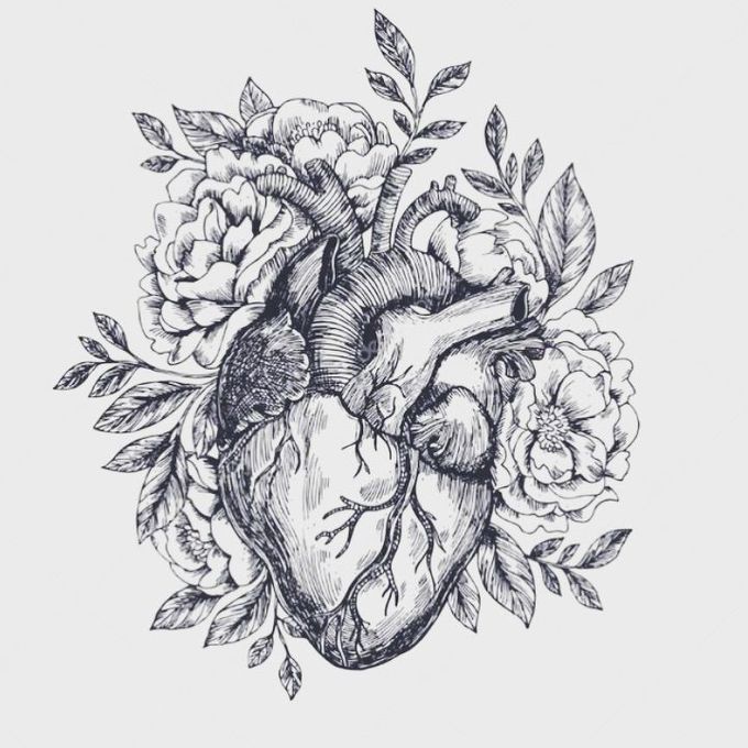 The Human Heart