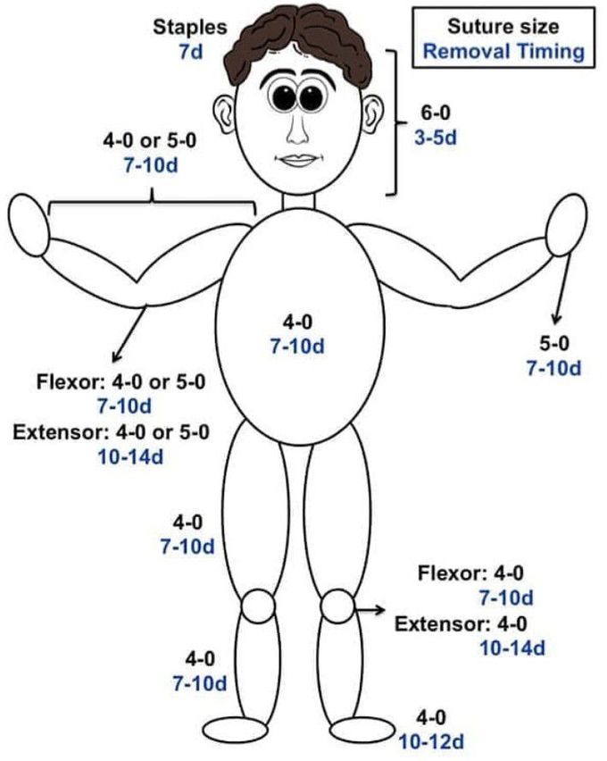 LACERATION AND SUTURING