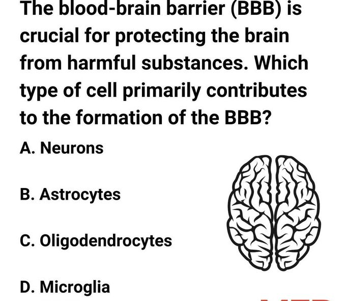 Type of Cell