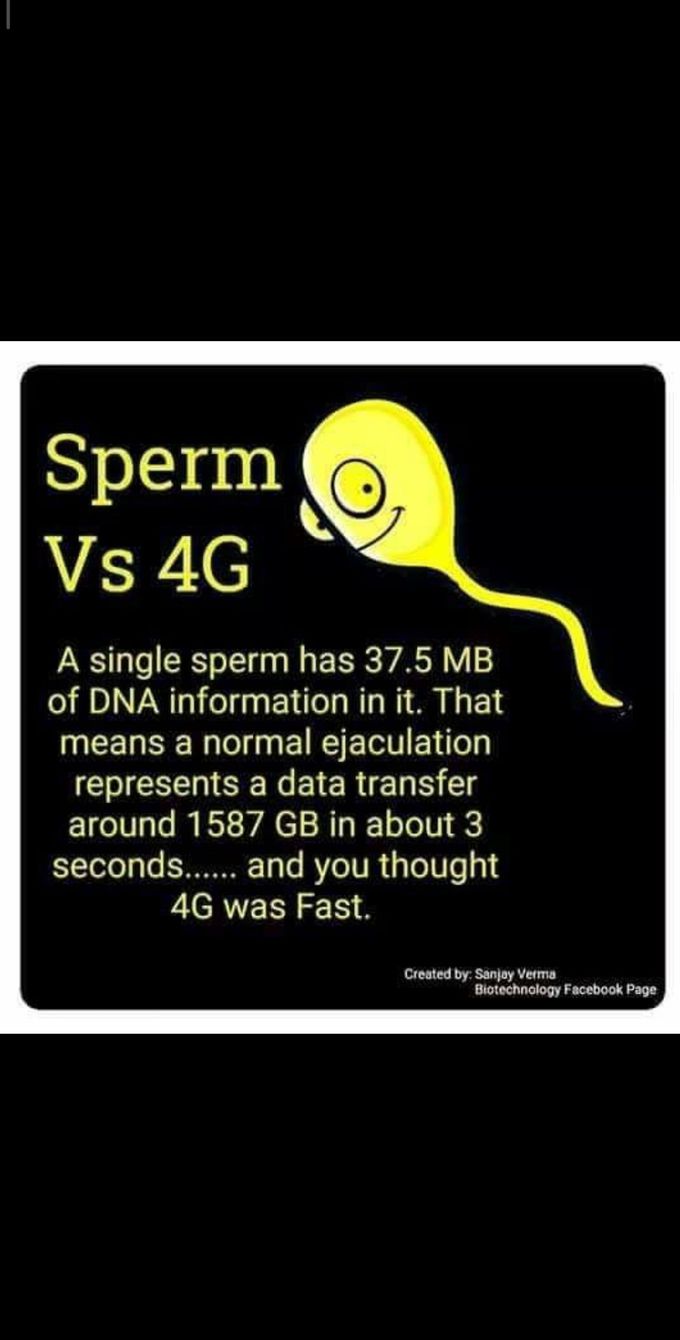Sperm
