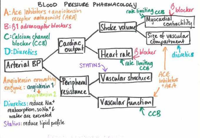 Blood - MEDizzy