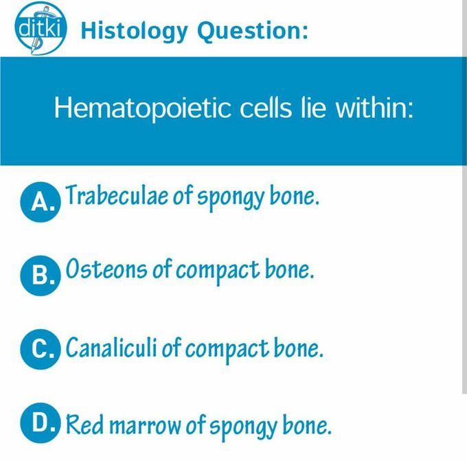 Histology