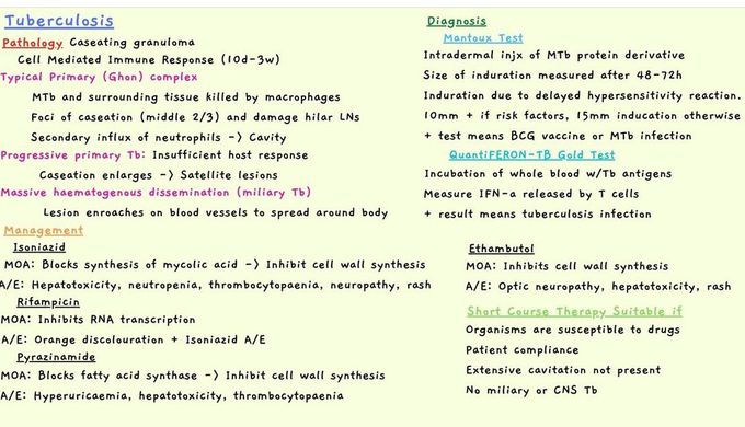 Tuberculosis