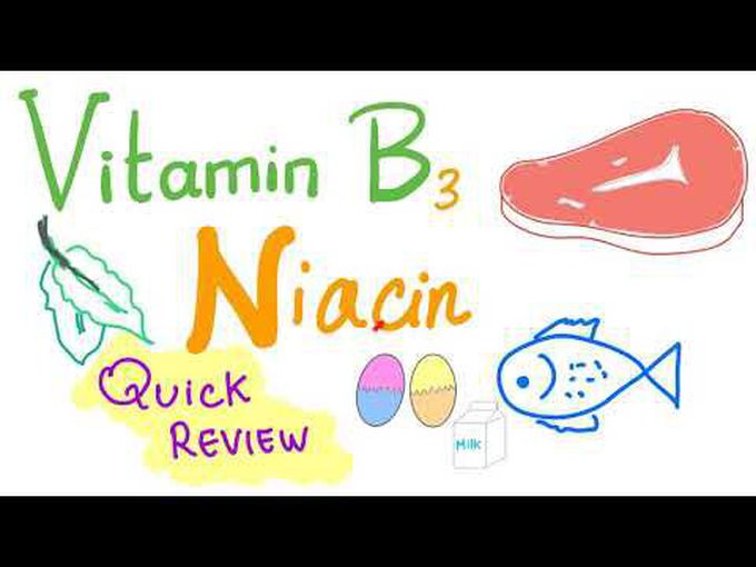 Precise overview of Vitamin B3 (Niacin)